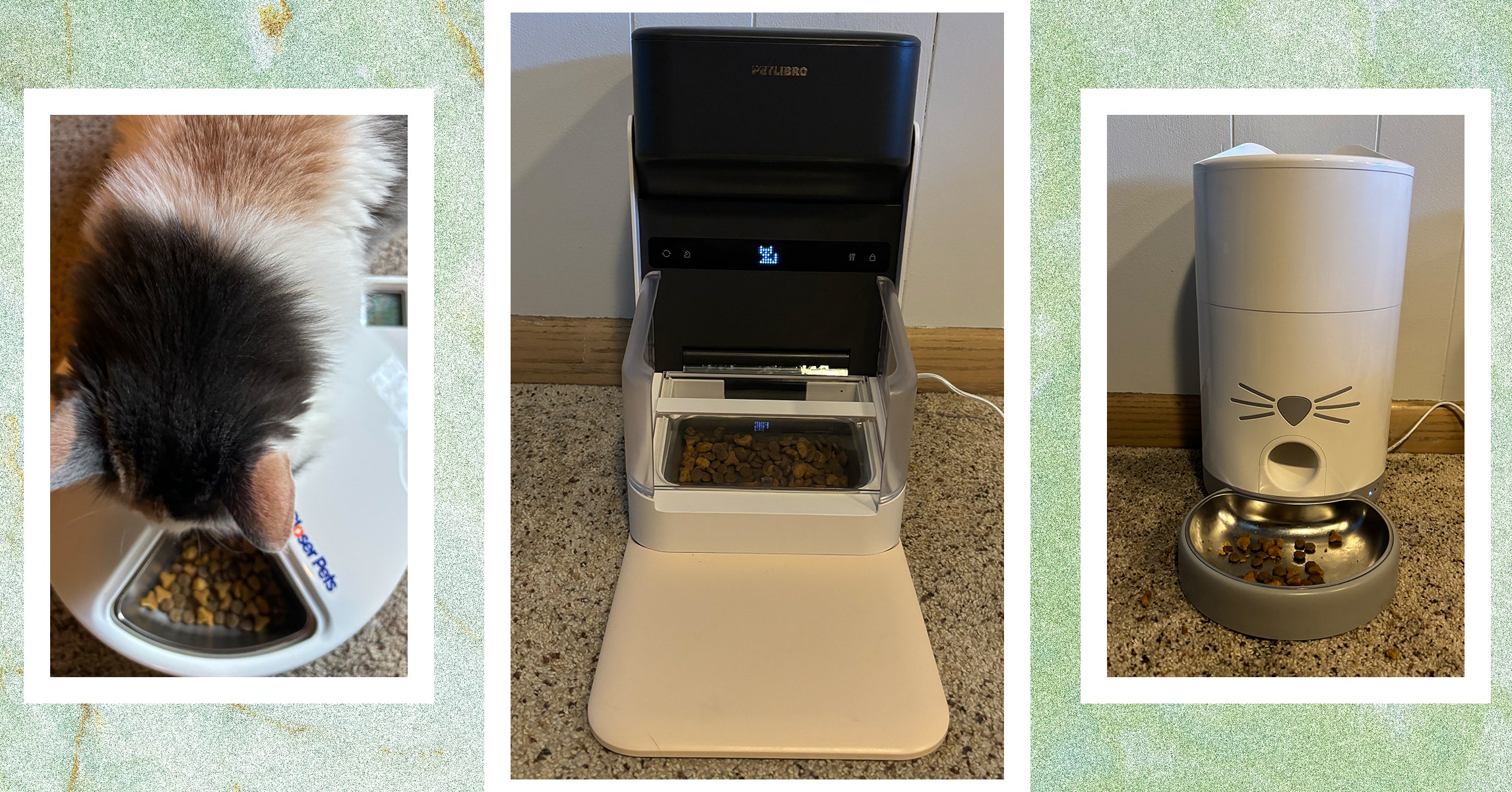 These 5 Automatic Cat Feeders Were the Best We Tested