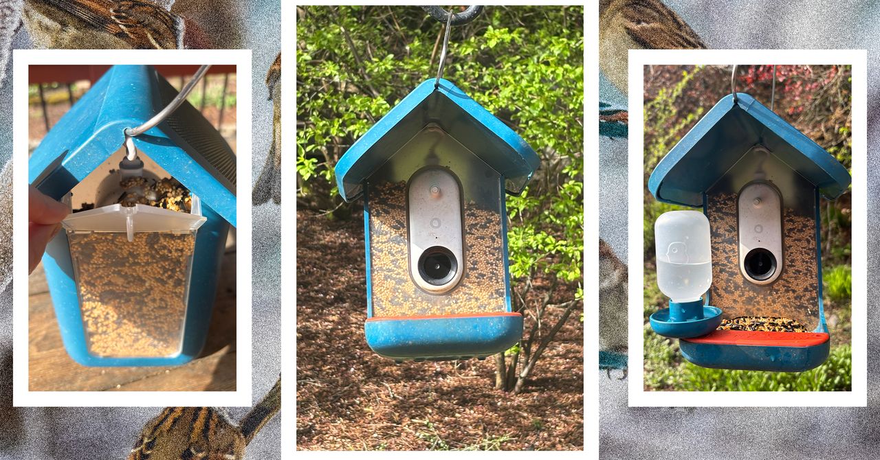 Bird Buddy Pro Review: All Birds, No Bother