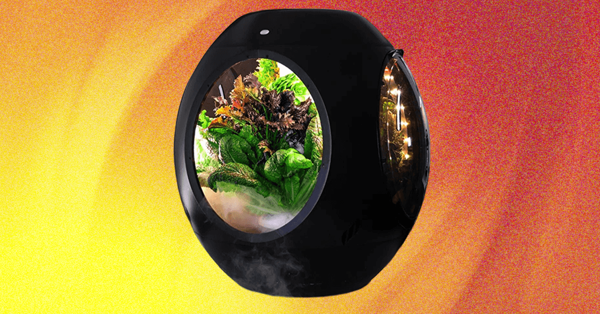 Plantaform Smart Indoor Garden Review: Rewarding but Risky Plantaform Smart Indoor Garden Review: Rewarding but Risky