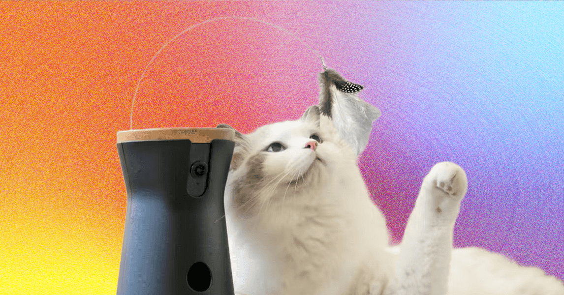 8 Best Pet Cameras (2025), Tested and Reviewed