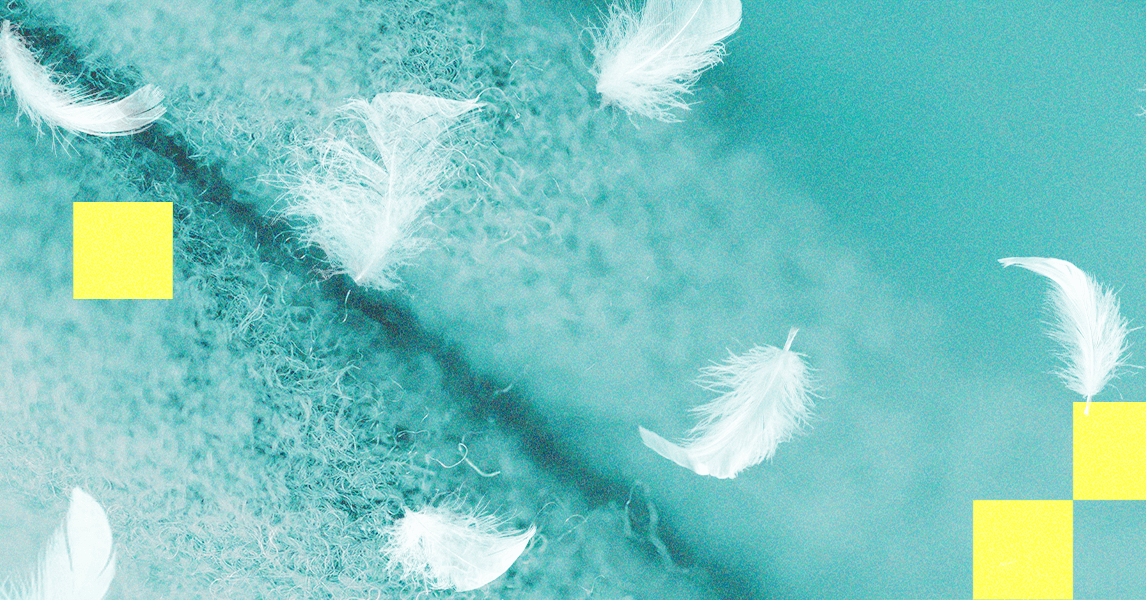 What Is Down Alternative and Who Should Buy It? Experts Explain (2025)