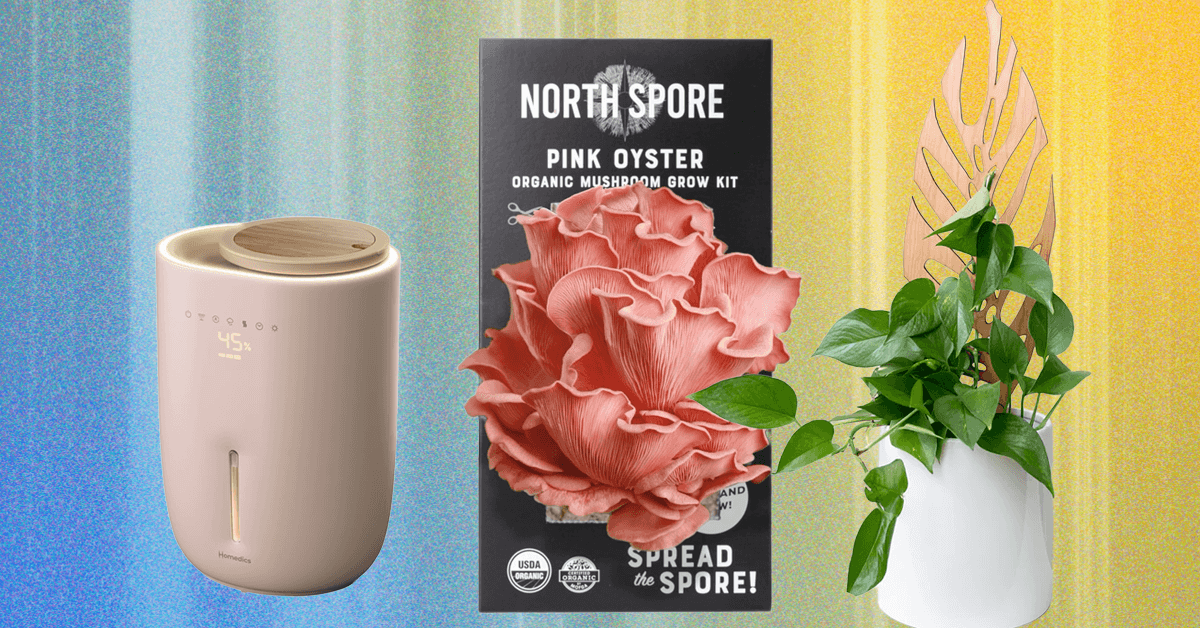 The 14 Best Gifts for Plant Lovers We’d Buy Ourselves (2025)